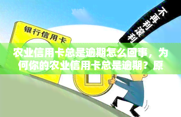 农业信用卡总是逾期怎么回事，为何你的农业信用卡总是逾期？原因解析