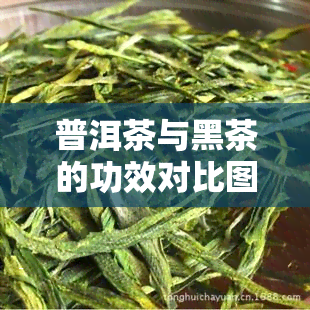 普洱茶与黑茶的功效对比图大全