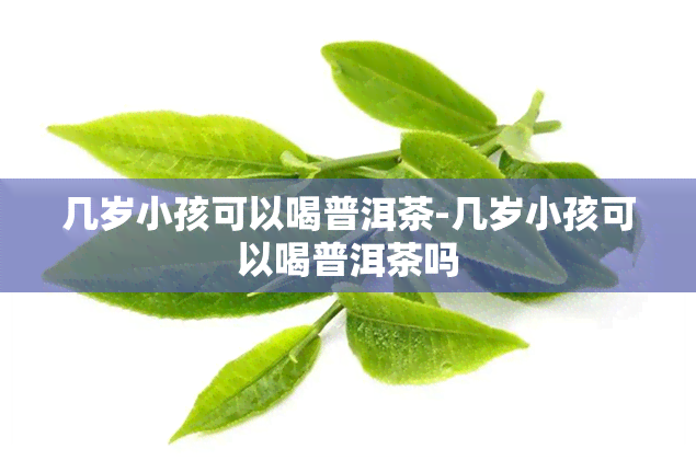 几岁小孩可以喝普洱茶-几岁小孩可以喝普洱茶吗