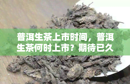 普洱生茶上市时间，普洱生茶何时上市？期待已久的时刻于来临！