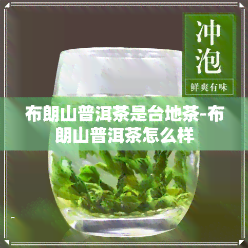 布朗山普洱茶是台地茶-布朗山普洱茶怎么样