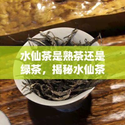 水仙茶是熟茶还是绿茶，揭秘水仙茶：它是熟茶还是绿茶？