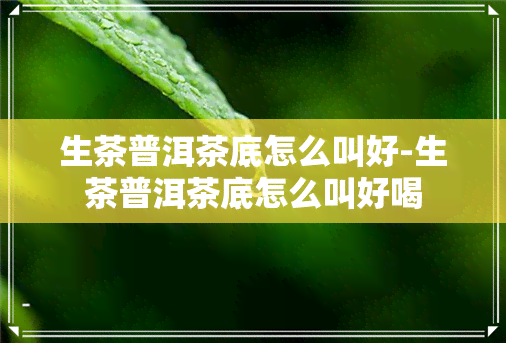 生茶普洱茶底怎么叫好-生茶普洱茶底怎么叫好喝