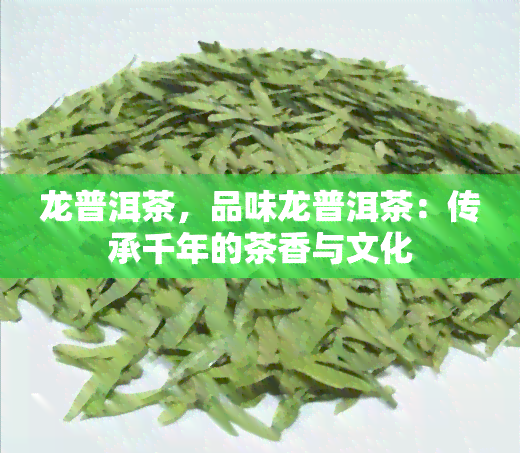 龙普洱茶，品味龙普洱茶：传承千年的茶香与文化