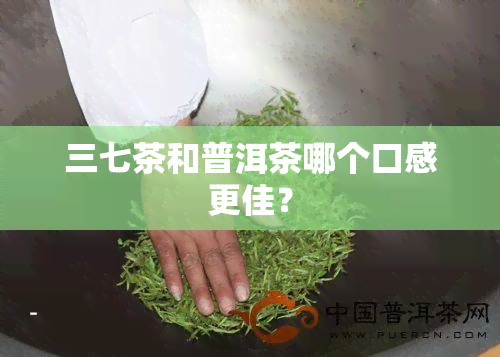 三七茶和普洱茶哪个口感更佳？