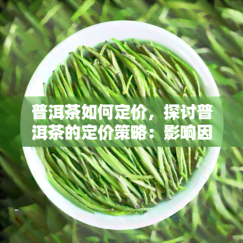 普洱茶如何定价，探讨普洱茶的定价策略：影响因素与实践经验