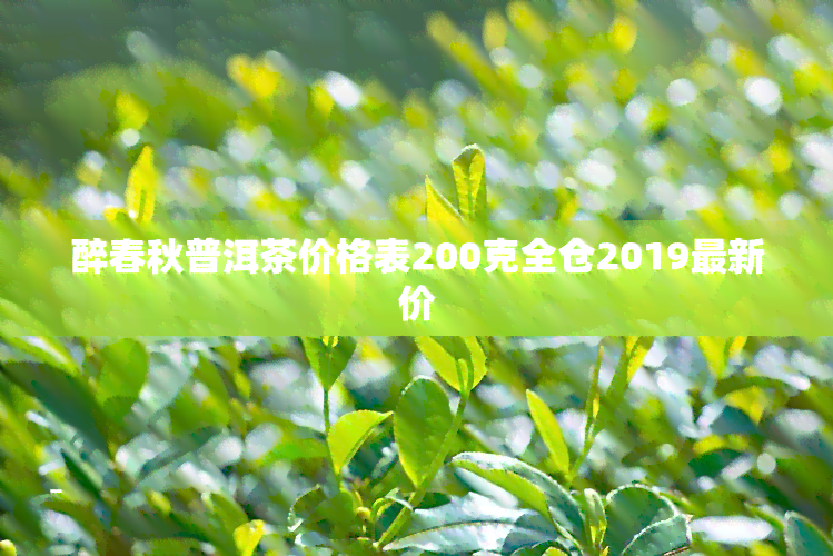 醉春秋普洱茶价格表200克全仓2019最新价