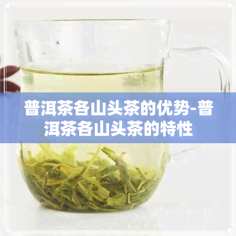 普洱茶各山头茶的优势-普洱茶各山头茶的特性