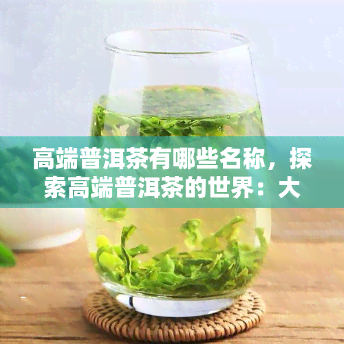 高端普洱茶有哪些名称，探索高端普洱茶的世界：大全与详细介绍