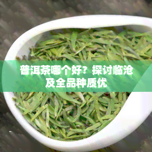 普洱茶哪个好？探讨临沧及全品种质优