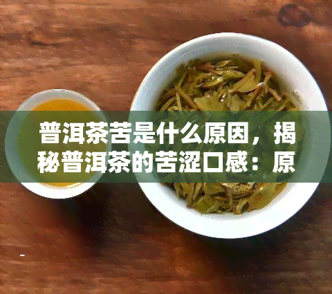 普洱茶苦是什么原因，揭秘普洱茶的苦涩口感：原因解析