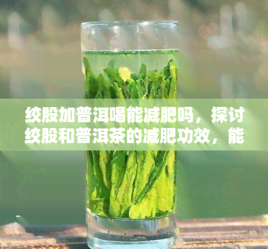 绞股加普洱喝能减肥吗，探讨绞股和普洱茶的减肥功效，能否实现双重效果？