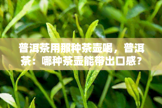 普洱茶用那种茶壶喝，普洱茶：哪种茶壶能带出口感？