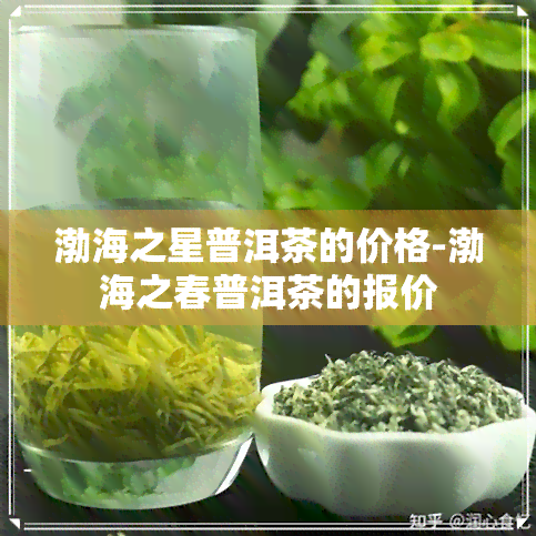 渤海之星普洱茶的价格-渤海之春普洱茶的报价