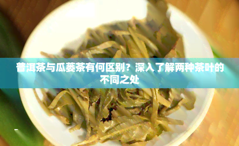 普洱茶与瓜蒌茶有何区别？深入了解两种茶叶的不同之处