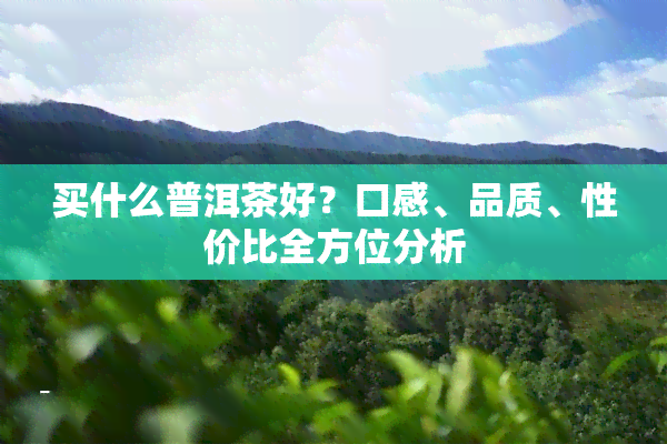 买什么普洱茶好？口感、品质、性价比全方位分析