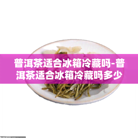 普洱茶适合冰箱冷藏吗-普洱茶适合冰箱冷藏吗多少度