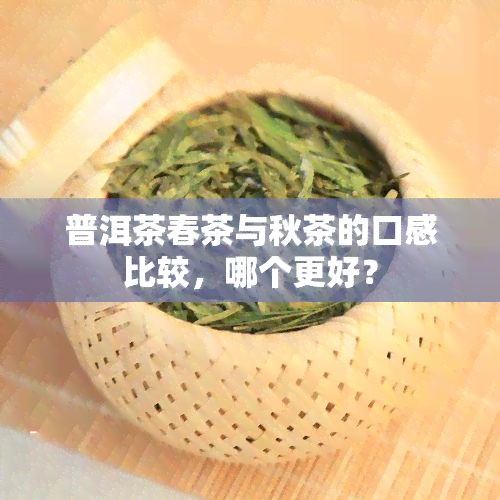 普洱茶春茶与秋茶的口感比较，哪个更好？