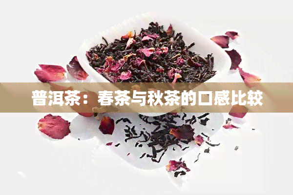 普洱茶：春茶与秋茶的口感比较