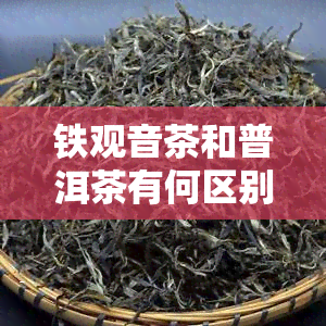 铁观音茶和普洱茶有何区别，铁观音茶与普洱茶：有何不同之处？