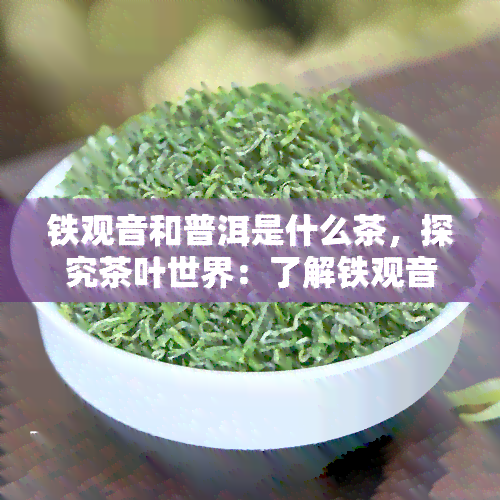 铁观音和普洱是什么茶，探究茶叶世界：了解铁观音和普洱的不同之处