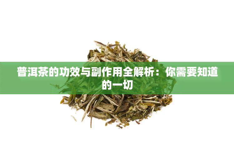 普洱茶的功效与副作用全解析：你需要知道的一切