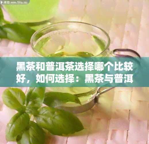 黑茶和普洱茶选择哪个比较好，如何选择：黑茶与普洱茶的比较