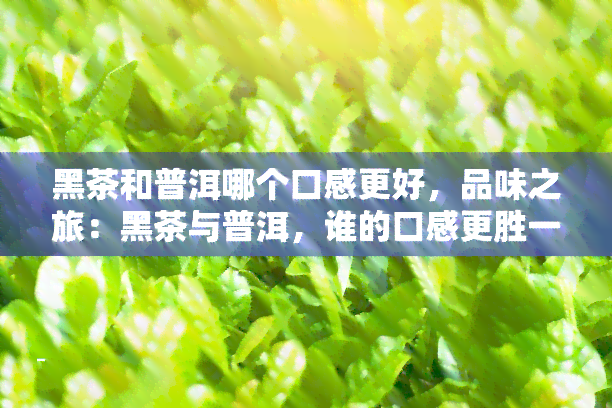 黑茶和普洱哪个口感更好，品味之旅：黑茶与普洱，谁的口感更胜一筹？