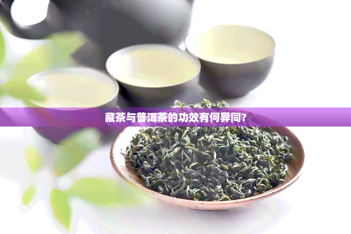 藏茶与普洱茶的功效有何异同？