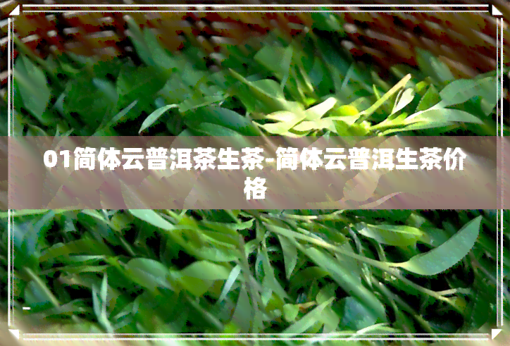 01简体云普洱茶生茶-简体云普洱生茶价格