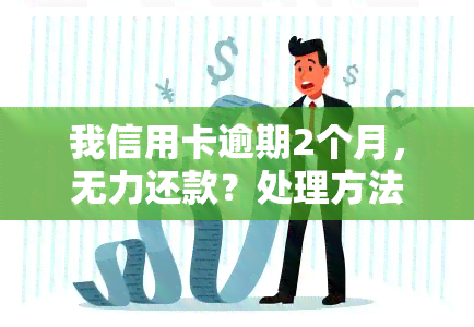 我信用卡逾期2个月，无力还款？处理方法在这里！