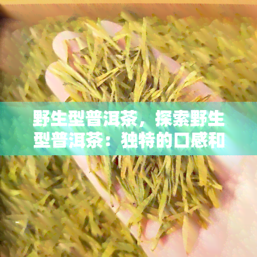 野生型普洱茶，探索野生型普洱茶：独特的口感和健益处