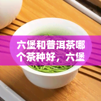 六堡和普洱茶哪个茶种好，六堡与普洱：两种茶叶的比较与选择