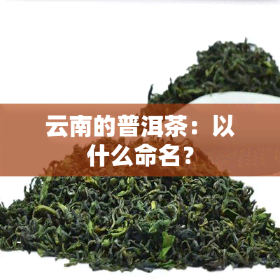 云南的普洱茶：以什么命名？