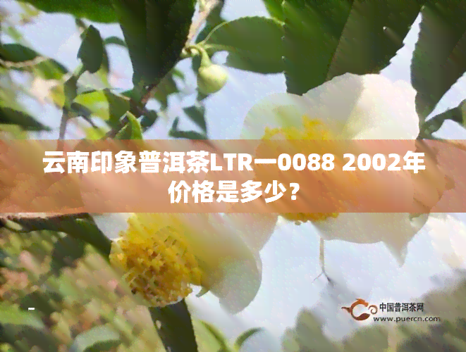 云南印象普洱茶LTR一0088 2002年价格是多少？