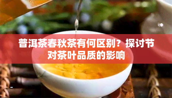 普洱茶春秋茶有何区别？探讨节对茶叶品质的影响