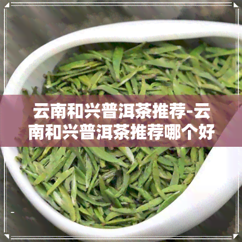 云南和兴普洱茶推荐-云南和兴普洱茶推荐哪个好