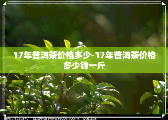 17年普洱茶价格多少-17年普洱茶价格多少钱一斤