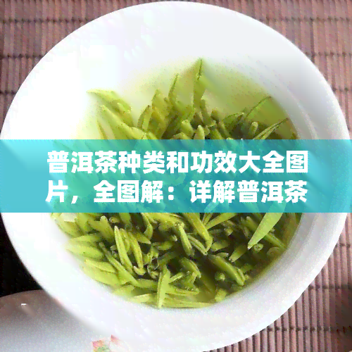 普洱茶种类和功效大全图片，全图解：详解普洱茶的种类与神奇功效！