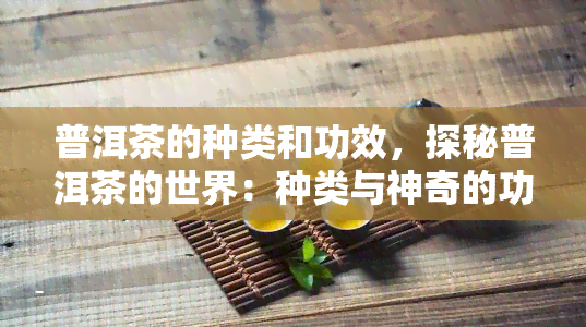 普洱茶的种类和功效，探秘普洱茶的世界：种类与神奇的功效