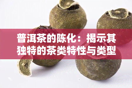 普洱茶的陈化：揭示其独特的茶类特性与类型