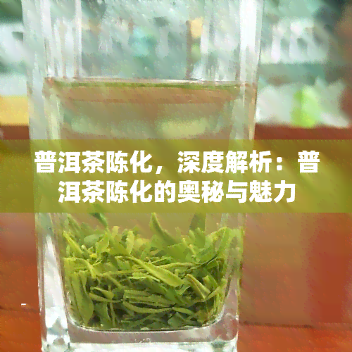 普洱茶陈化，深度解析：普洱茶陈化的奥秘与魅力