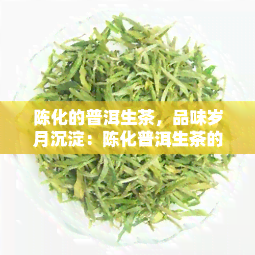 陈化的普洱生茶，品味岁月沉淀：陈化普洱生茶的魅力探索