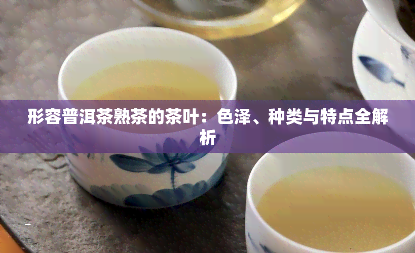 形容普洱茶熟茶的茶叶：色泽、种类与特点全解析