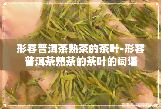 形容普洱茶熟茶的茶叶-形容普洱茶熟茶的茶叶的词语