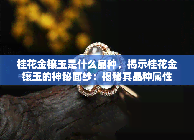 桂花金镶玉是什么品种，揭示桂花金镶玉的神秘面纱：揭秘其品种属性