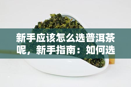 新手应该怎么选普洱茶呢，新手指南：如何选择适合自己的普洱茶？