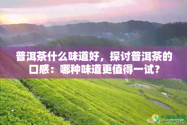 普洱茶什么味道好，探讨普洱茶的口感：哪种味道更值得一试？