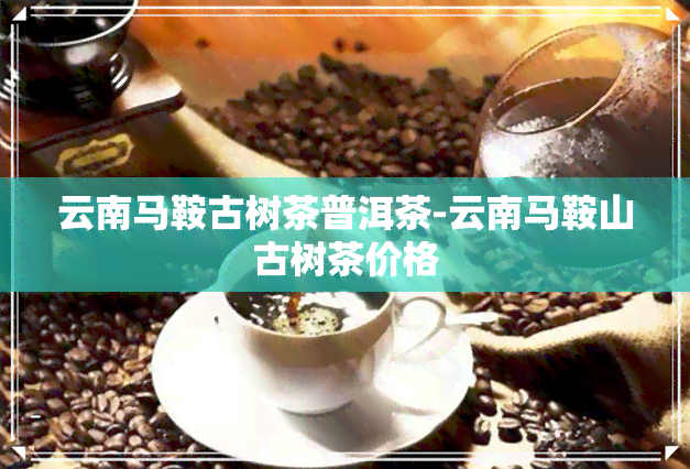 云南马鞍古树茶普洱茶-云南马鞍山古树茶价格