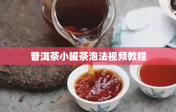 普洱茶小罐茶泡法视频教程